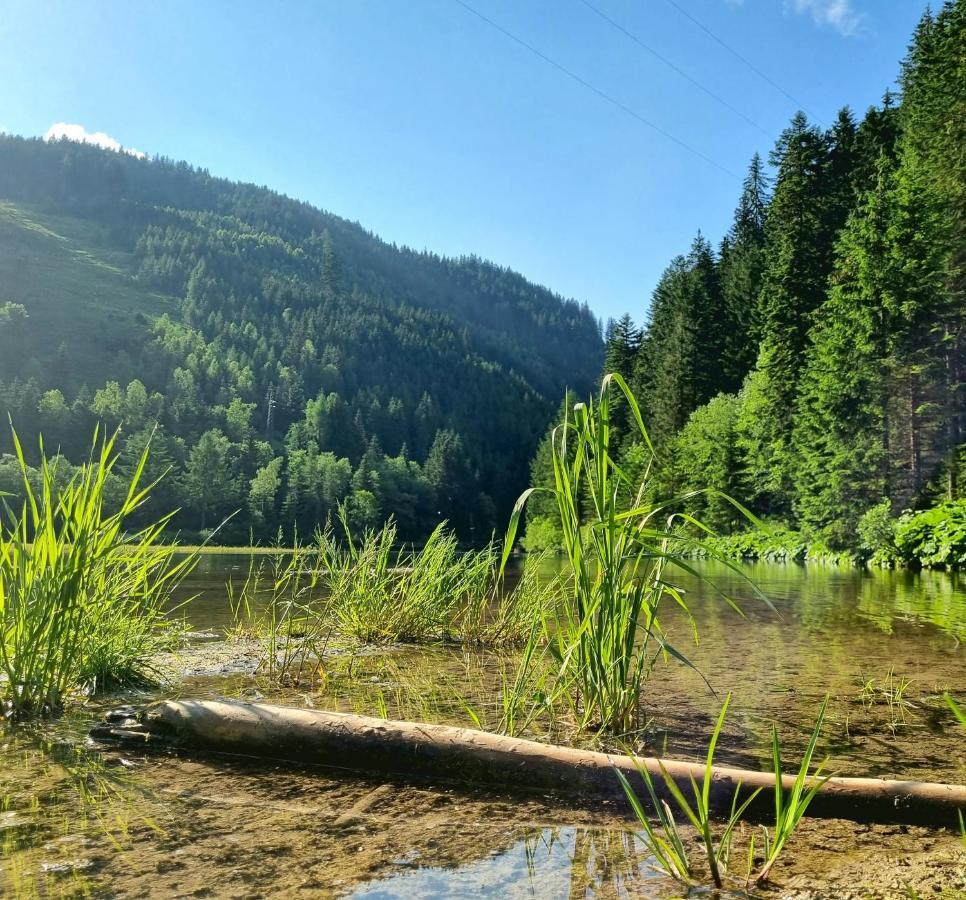 Das Geringer Schladming Exteriör bild