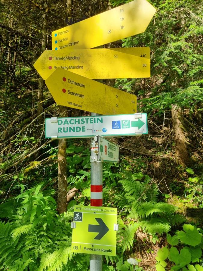 Das Geringer Schladming Exteriör bild